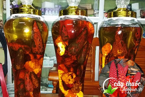 ngam-ruou-nam-ngoc-cau