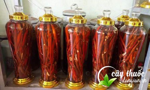 luu-y-khi-ngam-ruou-sam-cau