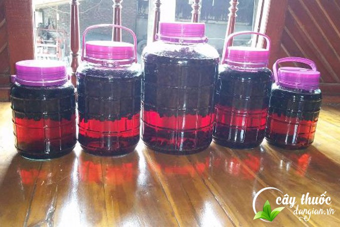 hinh-anh-ruou-qua-sim-tim