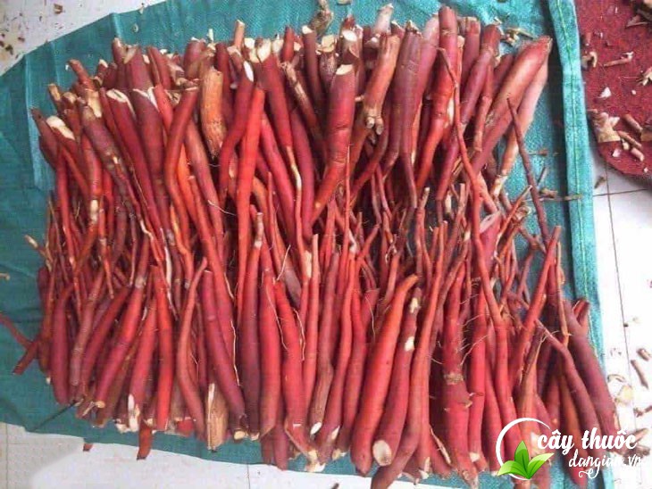 cac-cach-ngam-sam-cau-khac