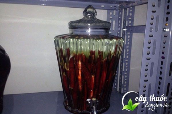 Cách ngâm rượu từ sâm đại hành 