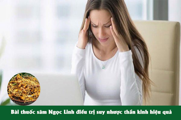 Bài thuốc sâm Ngọc Linh chữa suy nhược cơ thể rất hiệu quả.