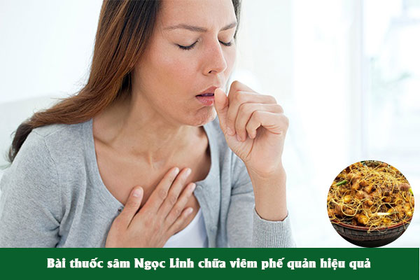 Bài thuốc sâm Ngọc Linh chữa viêm phế quản được nhiều người áp dụng.