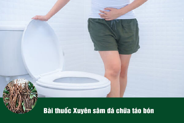 Bài thuốc Sâm xuyên đá giúp chữa chứng táo bón rất tốt, giúp thông tiện, nhuận tràng.
