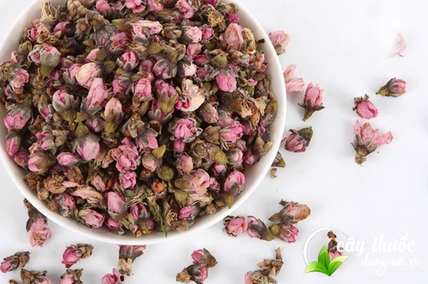 Bí quyết chọn trà hoa đào chuẩn