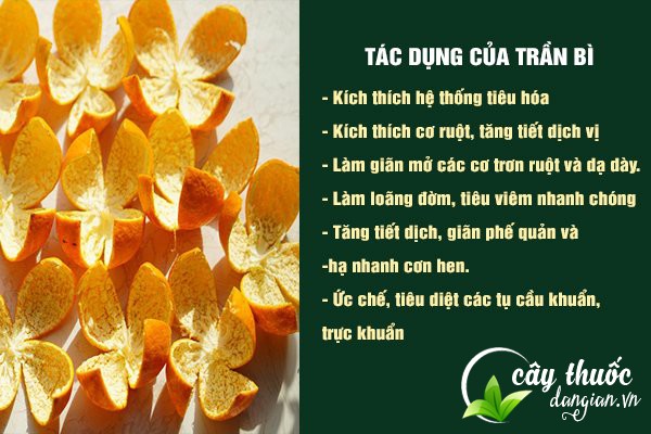 Những tác dụng tuyệt vời của Trần bì đối với sức khỏe và chữa bệnh.