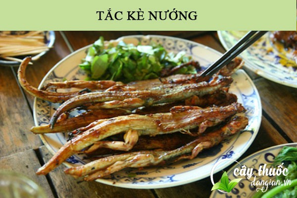 Tắc kè nướng là một cách chế biến món ăn bổ dưỡng 