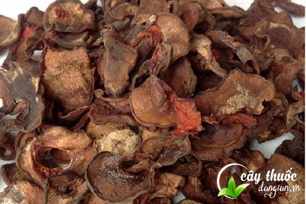 Lưu ý không lạm dụng quả tai chua quá nhiều sẽ phản tác dụng.