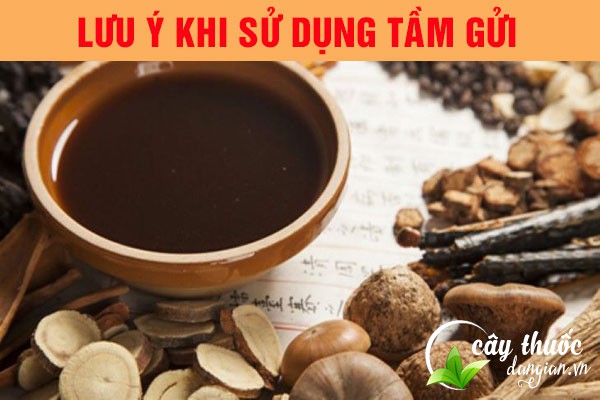 Lưu ý không lạm dụng bài thuốc tầm gửi quá nhiều sẽ dễ gây tác dụng phụ