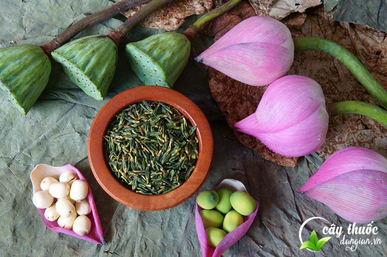 Cách sử dụng tâm sen