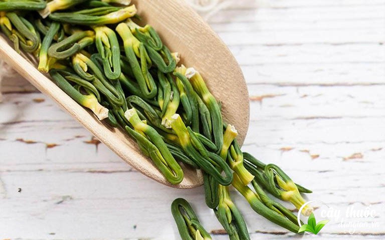 Có nên sử dụng tâm sen ở trẻ nhỏ không?