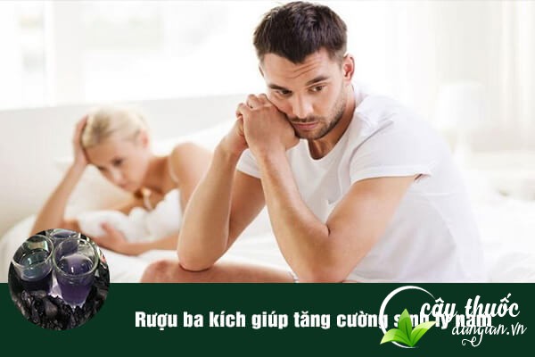 Rượu ba kích có tác dụng bổ thận, tráng dương, tăng cường chức năng sinh lý, điều trị liệt dương, rối loạn cương dương hiệu quả.
