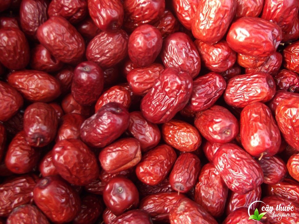 canh-do-xanh-va-tao-do