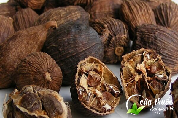 Lưu ý không được lạm dụng quá nhiều vị thuốc thảo quả, nên tham khảo ý kiến của người có chuyên môn trước khi dùng.