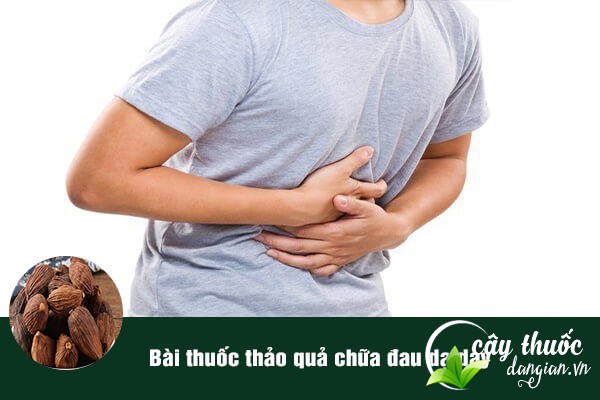 Thảo quả thường được sử dụng để làm bài thuốc chữa đau dạ dày.
