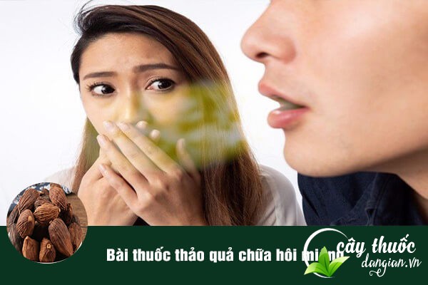 Thảo quả thường được dùng trong các bài thuốc Đông y trị chứng hôi miệng.