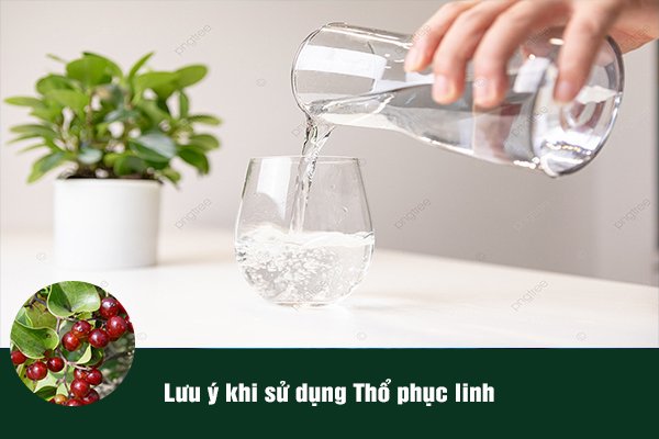 Lưu ý nên tham khảo ý kiến của bác sĩ, người có chuyên môn trước khi sử dụng bài thuốc từ thổ phục linh.