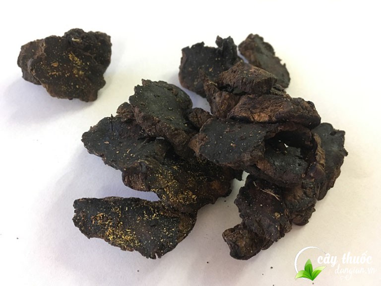 Thục địa sau khi được bào chế