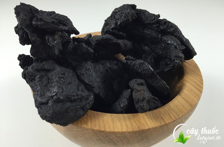 Tác dụng chữa bệnh của thục địa