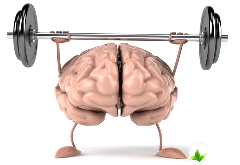 hoa-dau-biec-tot-cho-nao