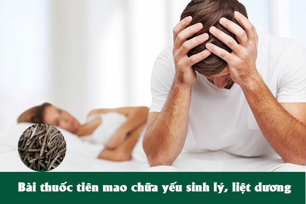 Tiên mao (sâm cau đen) thường được sử dụng để hỗ trợ điều trị chứng liệt dương, yếu sinh lý ở nam giới.