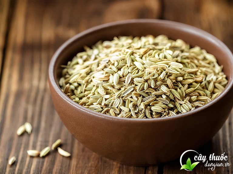 Tiểu hồi hương điều trị bệnh sốt rét