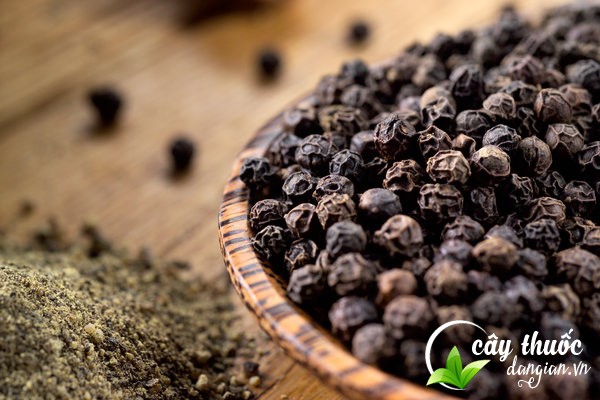 hat-tieu-giup-tang-kha-nang=hap-thu-cac-chat