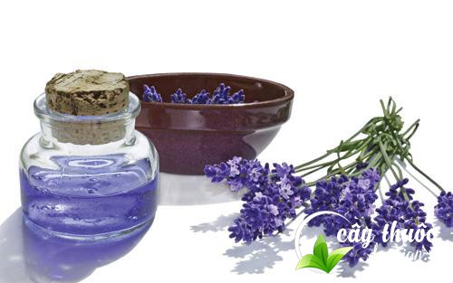 Hoắc hương giúp tinh thần thoải mái