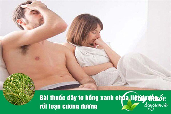 Tơ hồng xanh được sử dụng để làm bài thuốc chữa liệt dương ở nam giới rất tốt