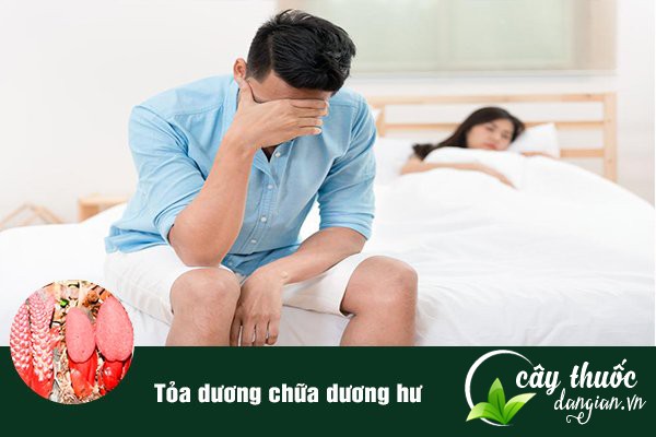 Tỏa dương là một vị thuốc thường được dùng trong bài thuốc chữa thận hư, thận yếu, giúp bổ thận,tráng dương