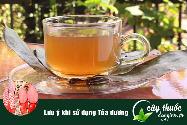 Lưu ý nên tham khảo ý kiến của bác sĩ, thầy thuốc Đông y khi sử dụng các bài thuốc từ tỏa dương.