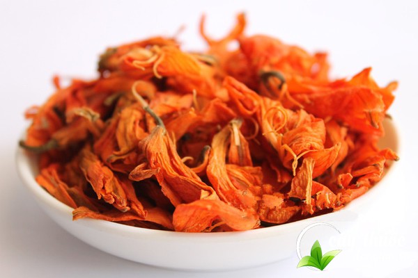 luu-y-khi-su-dung-tra-hoa-bach-hop