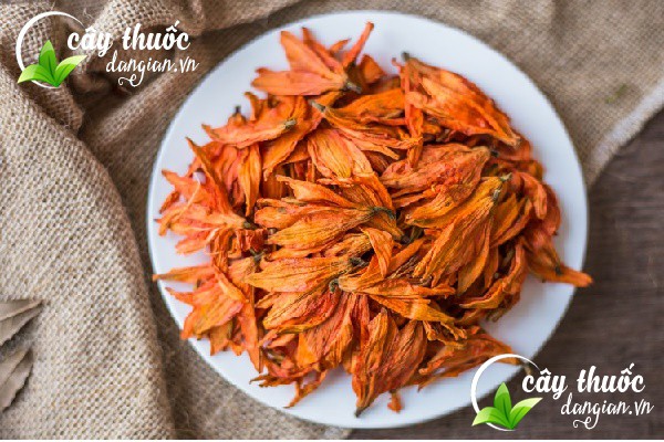 Trà hoa bách hợp có công dụng cực tốt