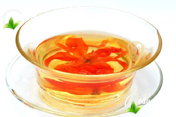 Trà hoa bách hợp