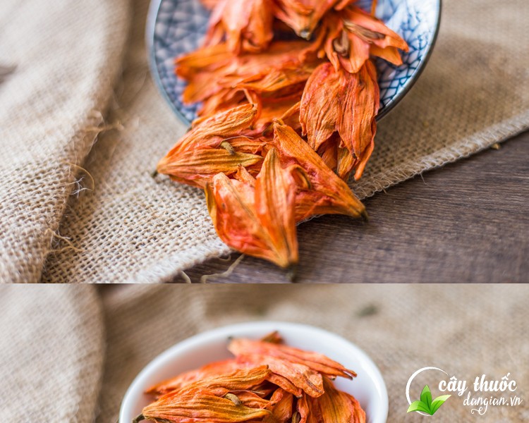 Mua trà hoa bách hợp tại Cây Thuốc Dân Gian an toàn