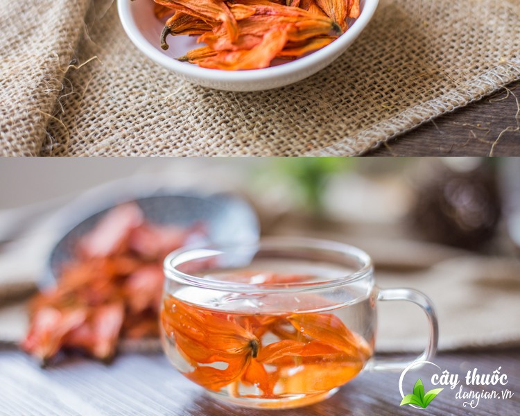 cach-chon-tra-hoa-bach-hop-chat-luong