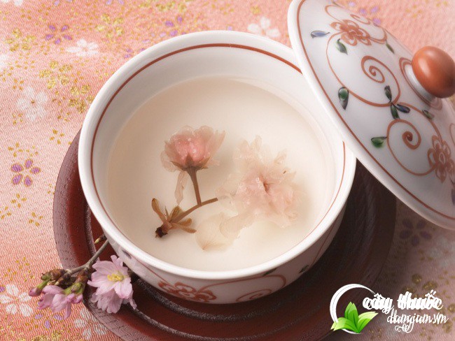 Trà hoa đào thơm ngon và nguyên vẹn tinh chất phụ thuộc vào cách pha của bạn