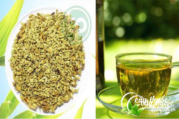 Pha trà đúng cách là việc quan trọng khi sử dụng trà hoa hòe