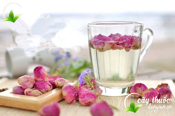 Pha trà hoa hồng như thế nào là đúng cách