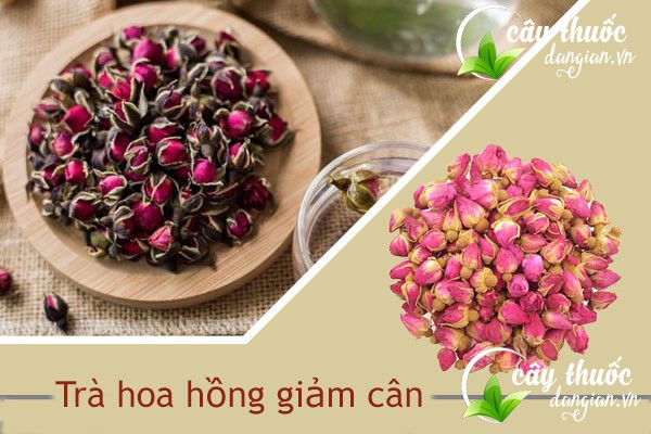 Công dụng của trà từ hoa hồng