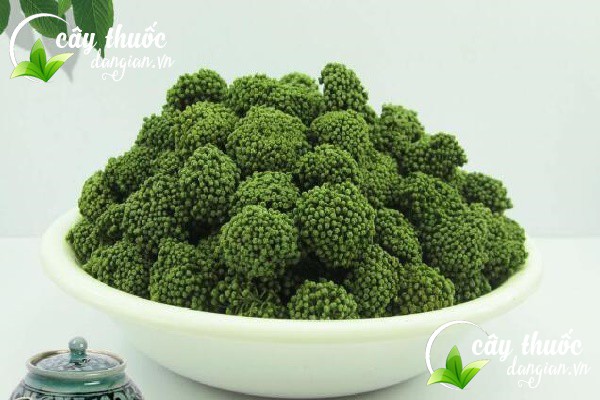 Trà đạt chuẩn phải có bông còn xanh, còn vị thơm và được bảo quản an toàn