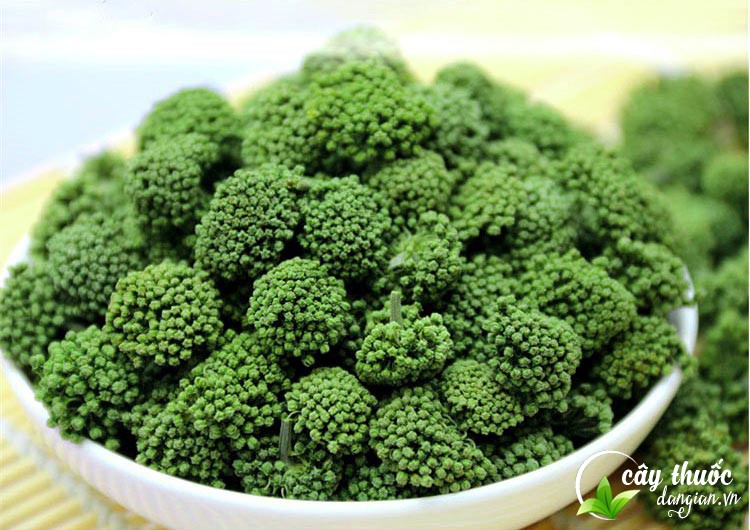 hinh-anh-nu-hoa-tam-that