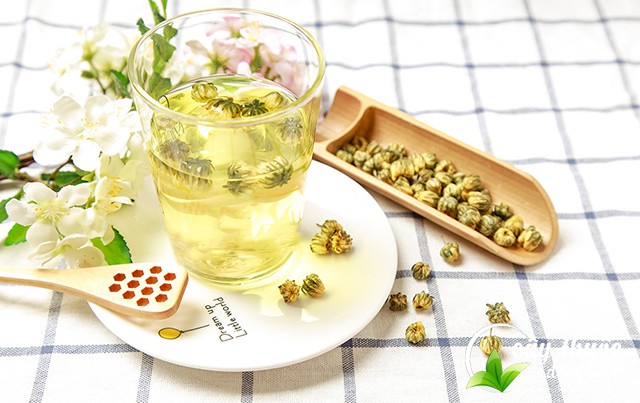 Trà hoa cúc kim cương là lựa chọn hữu ích cho mọi nhà