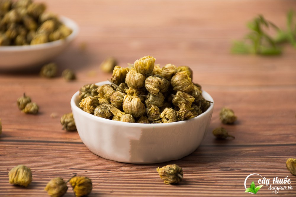 Trà hoa cúc kim cương có nhiều công dụng tốt