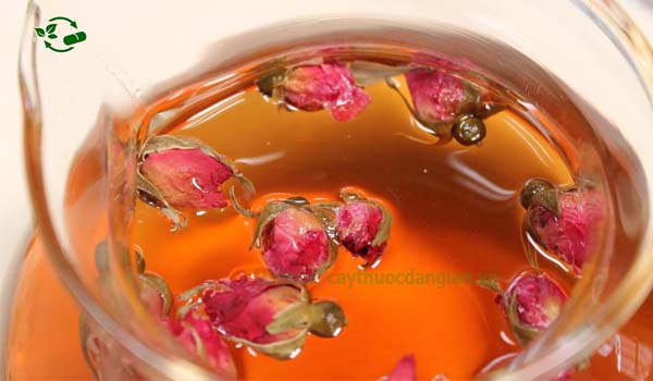 Cách pha trà hoa hồng tại nhà