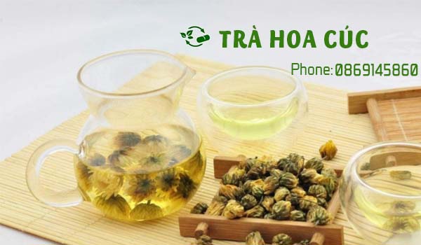 Địa chỉ bán trà hoa cúc sấy khô rẻ nhất việt nam