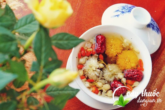 Trà hoa cúc vàng có tác dụng gì?