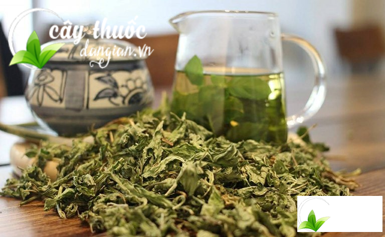 Trà lá sen giúp thanh nhiệt cơ thể