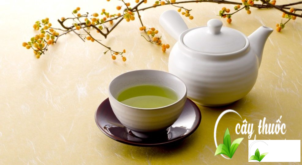 Trà lá sen sẽ phát huy tác dụng khi bạn sửu dụng đúng cách