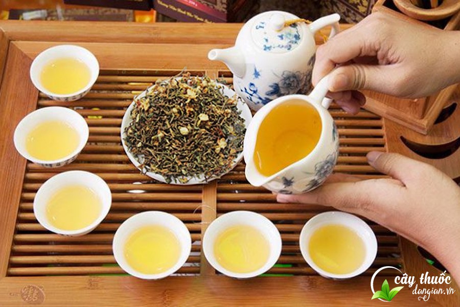 Trà sơn mật tại Cây Thuốc Dân Gian đảm bảo chất lượng thượng hạng